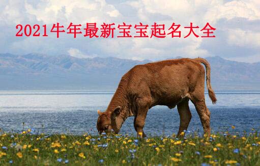 2021牛年最新宝宝起名名字大全
