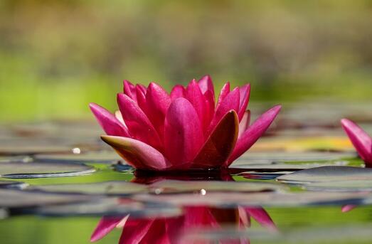 2021牛年夏天出生的宝宝起名