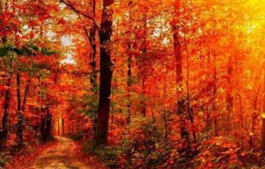 鼠年秋天出生的宝宝起名大全