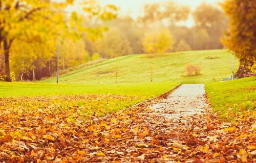 鼠年秋天出生的宝宝起名大全