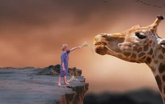 牛年男宝宝好听的名字大全