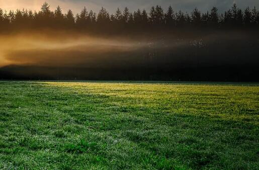 牛年宝宝草字头的好听名字