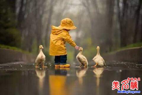 猪年宝宝起名实用宝典2019