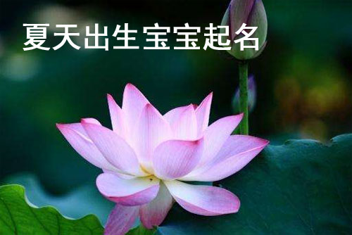 鼠年夏天出生的宝宝起名