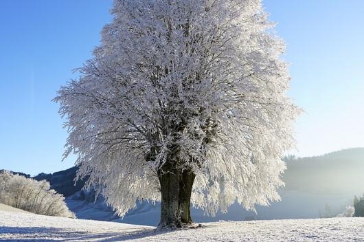 2020鼠年冬天出生的宝宝起名名字大全