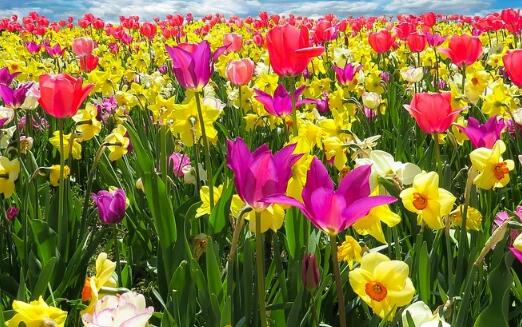 2021新生宝宝起名最美的名字大全