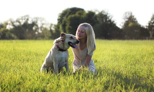 牛年宝宝草字头吉祥的名字大全