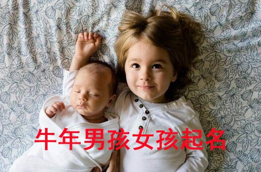 牛年如何给男孩女孩起名字大全