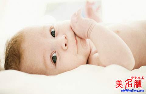 可爱鸡宝宝起名