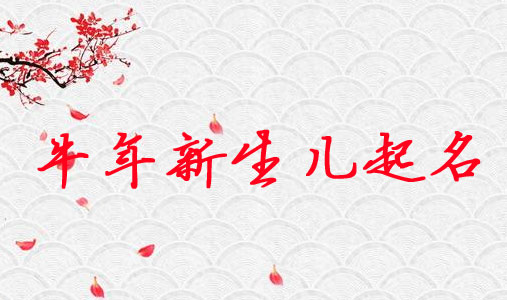 牛年出生宝宝专家起名/大师人工起名