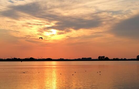2021牛年夏天出生的宝宝起名