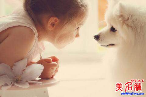 最受欢迎的女孩英文排行